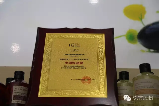 科技引領(lǐng)美麗▏棟方股份榮獲“中國好品牌獎”！